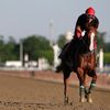 California Chrome Will Vie For The Triple Crown Today